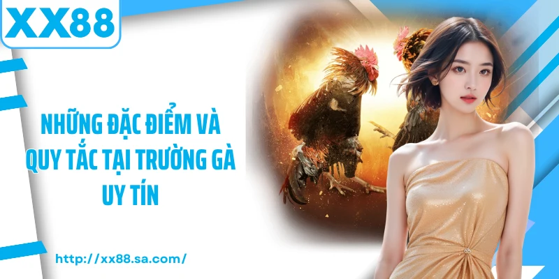 Đá Gà Thomo - Sân Chơi Của Những Hội Viên Chuyên Nghiệp 3 Những đặc điểm và quy tắc tại trường gà uy tín