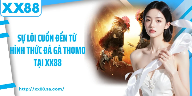 Đá Gà Thomo - Sân Chơi Của Những Hội Viên Chuyên Nghiệp 4 Sự lôi cuốn đến từ hình thức đá gà thomo tại XX88