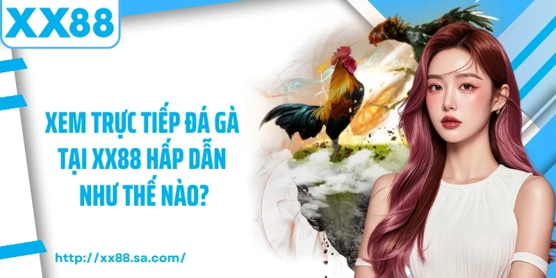 Trải Nghiệm Trực Tiếp Đá Gà Đỉnh Cao Cùng Các Linh Kê 2 Xem trực tiếp đá gà tại XX88 hấp dẫn như thế nào?